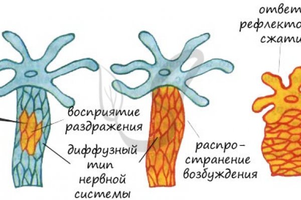 Кракен площадка ссылка