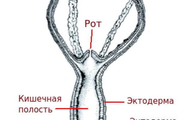 Кракен не грузит